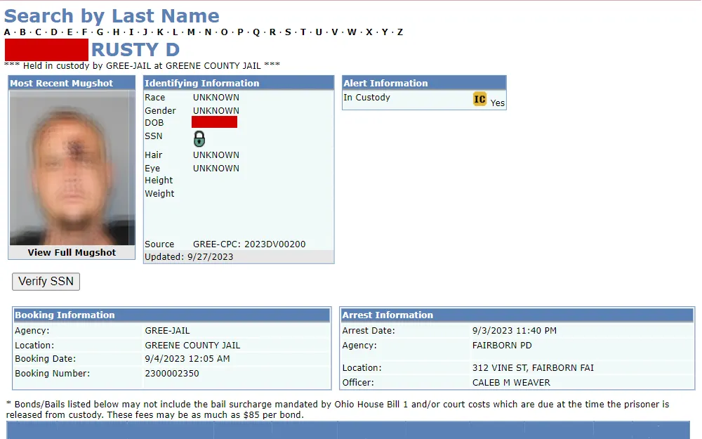 A screenshot of the search tool used to obtain information about individuals in custody.